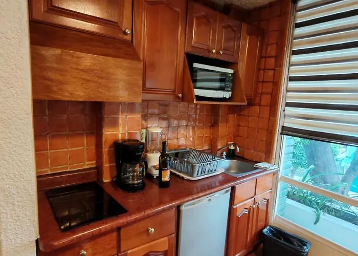 Beautiful Loft With Balcony For Relaxing Wifi * México DF